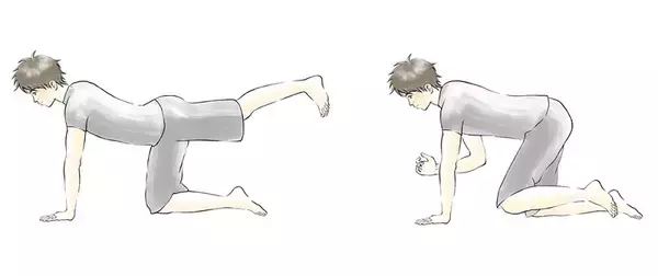 「良い姿勢をキープして痛みを改善！ 腰痛改善トレーニング」の画像