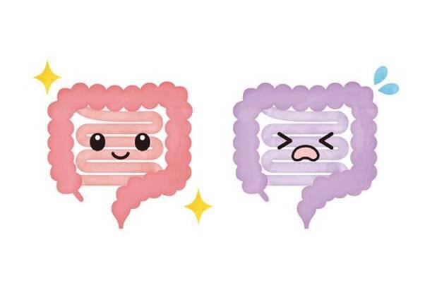 正しい腸活を知っていますか？１回３分「おなかをねじるだけ腸活」