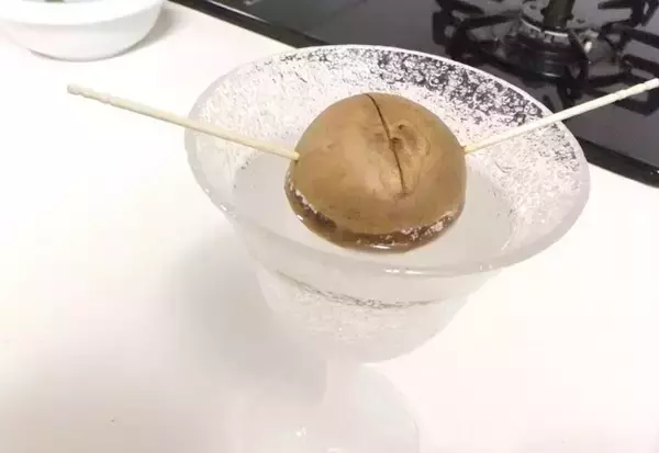 「捨てる前に知りたかった！栄養豊富なアボカドの種、とっておきの活用方法」の画像