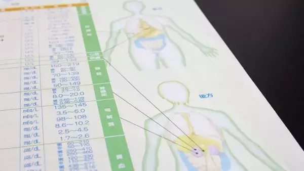 健康診断結果の読み解き方