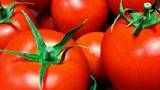 「夕食の前にトマトを食べるだけのダイエット法！」の画像1
