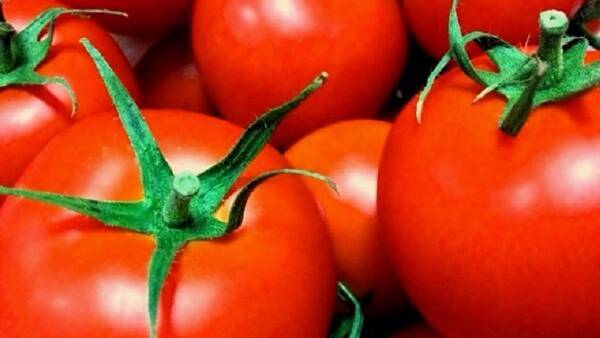 夕食の前にトマトを食べるだけのダイエット法！
