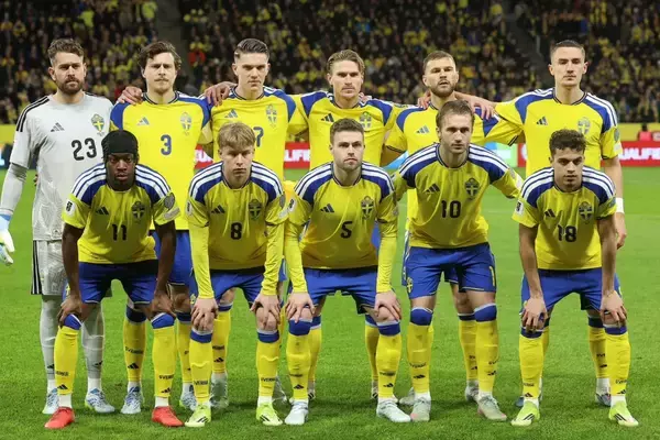 W杯での日本戦を控えるスウェーデンは「卑怯」　メンバー選考に代表OBが怒りの糾弾「理解が全くできない。むしろムカついてる」
