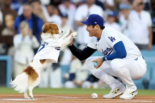 「decoyが1番！」人気は大谷、カーショー超え？始球式登場の愛犬デコピンの反響止まらず「次の登場はいつ？」 2024年9月1日 エキサイトニュース