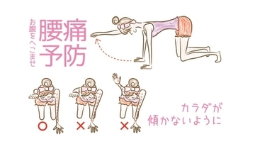 お腹をへこませ腰痛予防