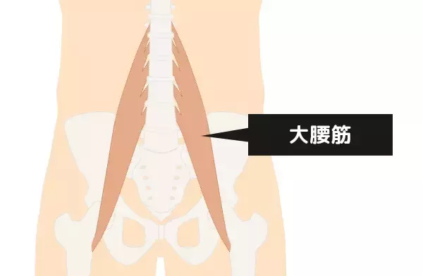 「体幹トレーニングのメリットとコツを知ろう」の画像