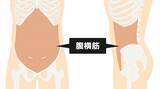 「体幹トレーニングのメリットとコツを知ろう」の画像4