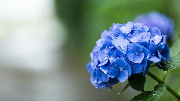 じめじめシーズン到来 梅雨の健康リスクと４つの改善法 年6月21日 エキサイトニュース