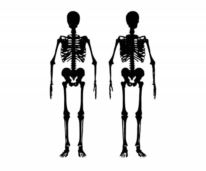 骨格の歪みの原因とは 19年7月30日 エキサイトニュース