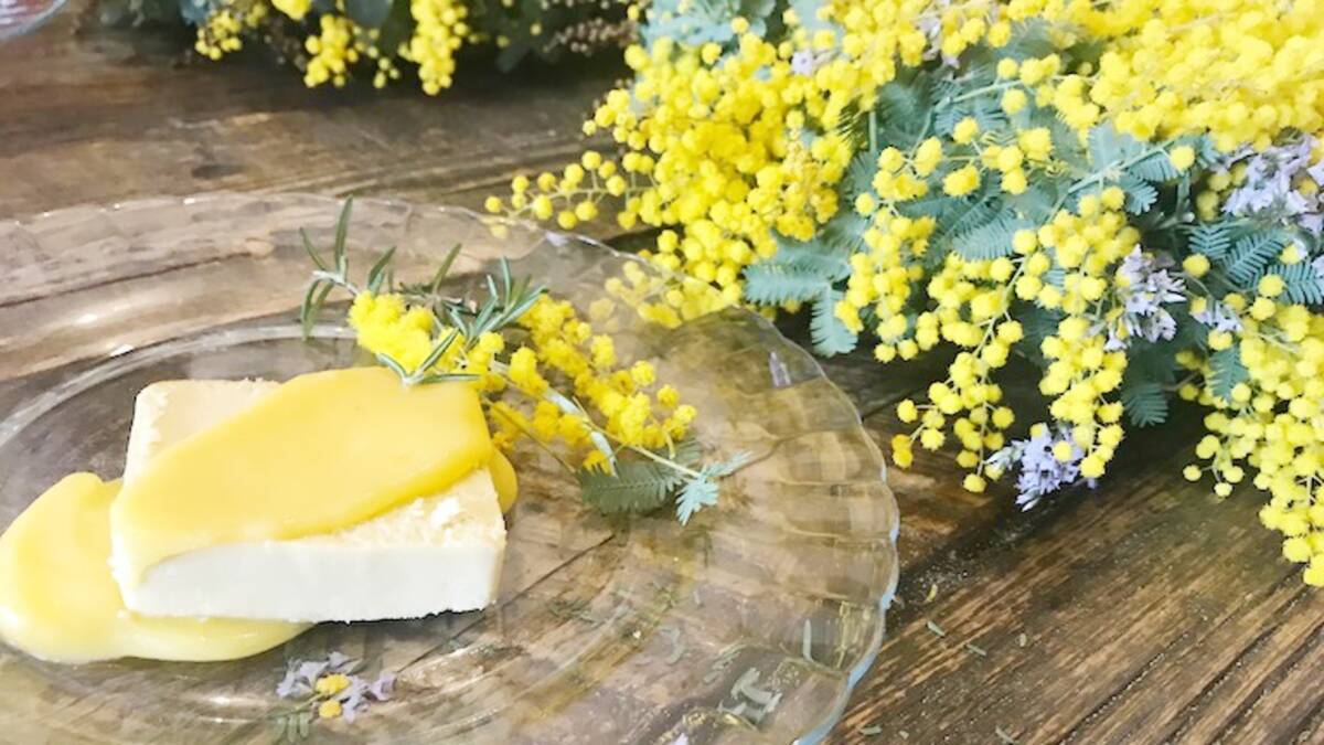 体験取材 植物教室 ミモザリースとミモザ色デザート 春の訪れを感じませんか 年4月2日 エキサイトニュース 2 5