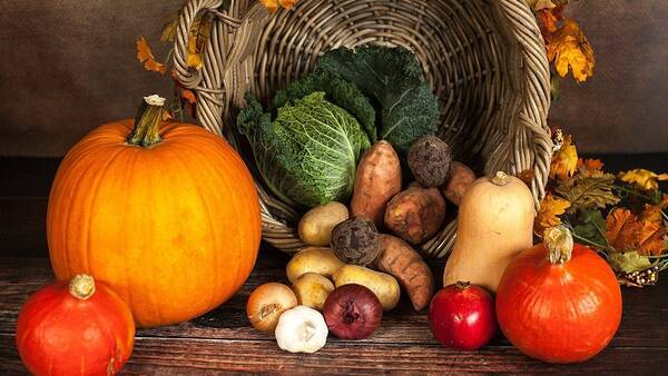 旬の食材を食べましょう 秋が旬の食材とは 年10月22日 エキサイトニュース