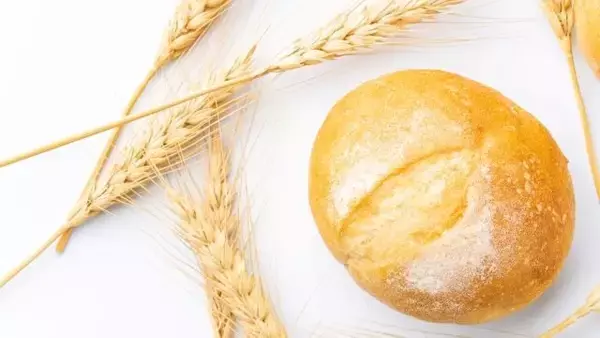 小麦を食べ続けることで起こる、「腸もれ」を防ぐ方法【前編】
