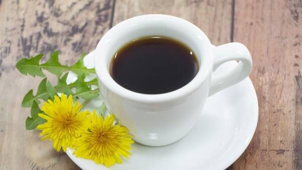 ノンカフェイン タンポポコーヒーの驚くべき効果効能 21年8月10日 エキサイトニュース