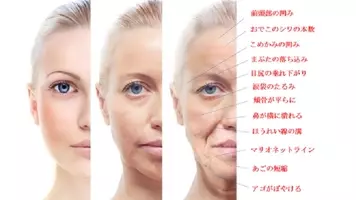 カリスマ小顔サロン 顔や頭の骨が大きくなる事はない 19年2月8日 エキサイトニュース