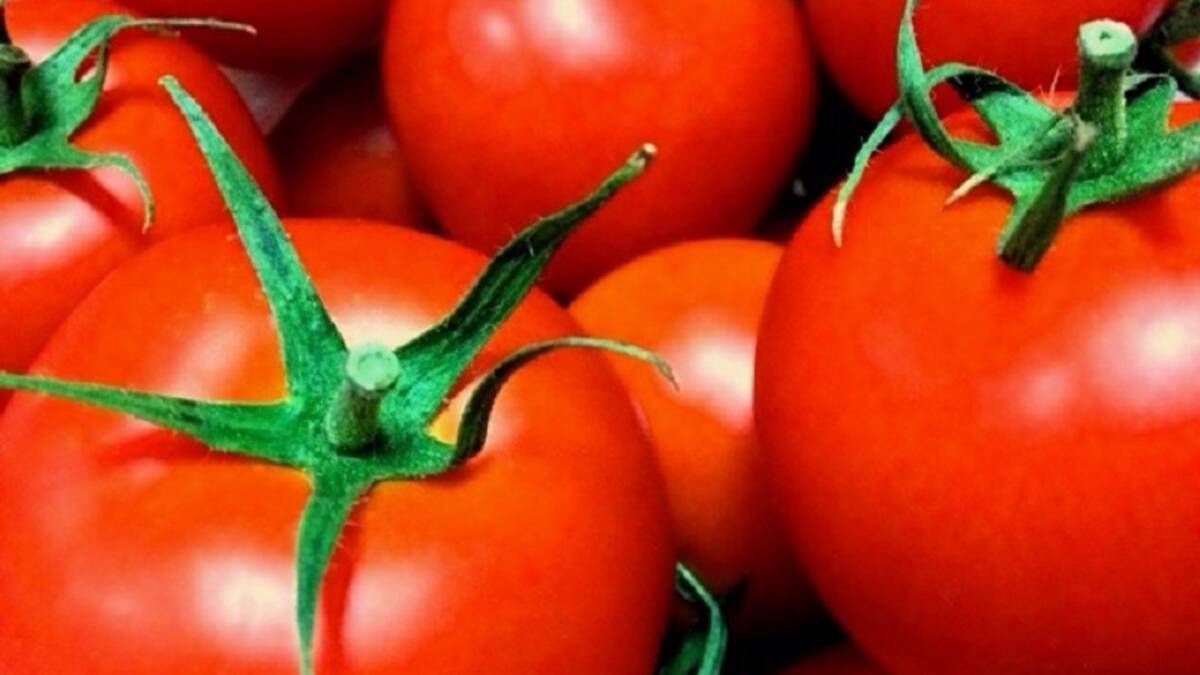 夕食の前にトマトを食べるだけのダイエット法 年10月30日 エキサイトニュース