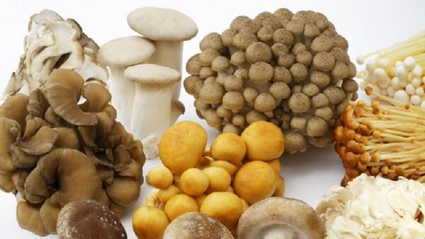 食物繊維が豊富で低カロリー ダイエット中の食事はきのこを積極的に 21年1月24日 エキサイトニュース