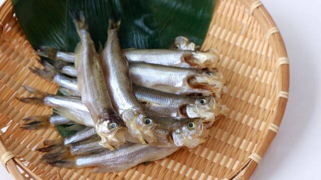 驚くべき ししゃも の効果効能 21年12月2日 エキサイトニュース