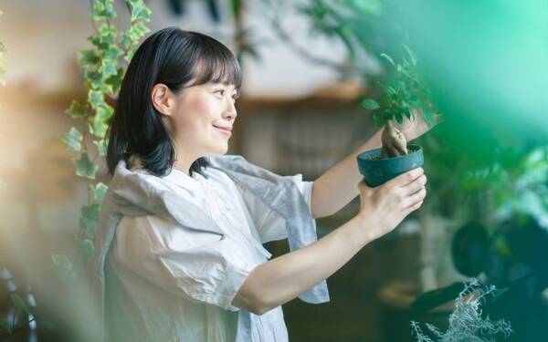 観葉植物がもたらす効果とは 22年3月24日 エキサイトニュース 観葉植物がもたらす効果とは 22年3月24日 エキサイトニュース