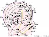 「頭痛解消のための頭のほぐし方」の画像2