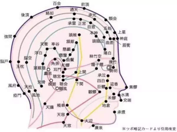 「頭痛解消のための頭のほぐし方」の画像