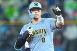 「佐藤輝明は「次の争奪戦の主役」　高まるMLBの本気度を米メディア強調　守備の課題あっても“誠也超え”の声」の画像1