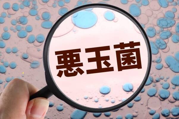 腸活で未来が変わる？老化予防と健康維持を叶える腸活メソッド