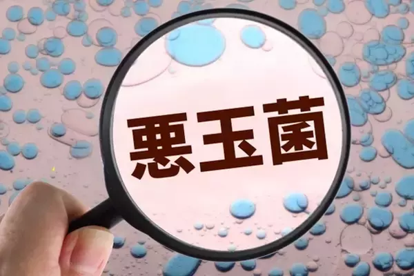 「腸活で未来が変わる？老化予防と健康維持を叶える腸活メソッド」の画像
