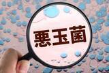 「腸活で未来が変わる？老化予防と健康維持を叶える腸活メソッド」の画像3