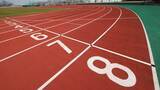 「プロスポーツ選手の治療の共通点「痛いはずなのにあまり実感していない」」の画像1