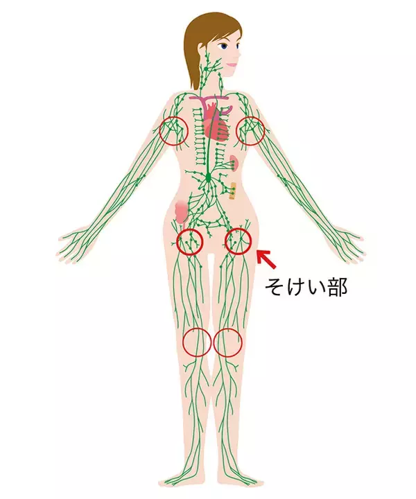 「リンパが集まる「そけい部」のトレーニングで引き締まった下半身を手に入れる！」の画像
