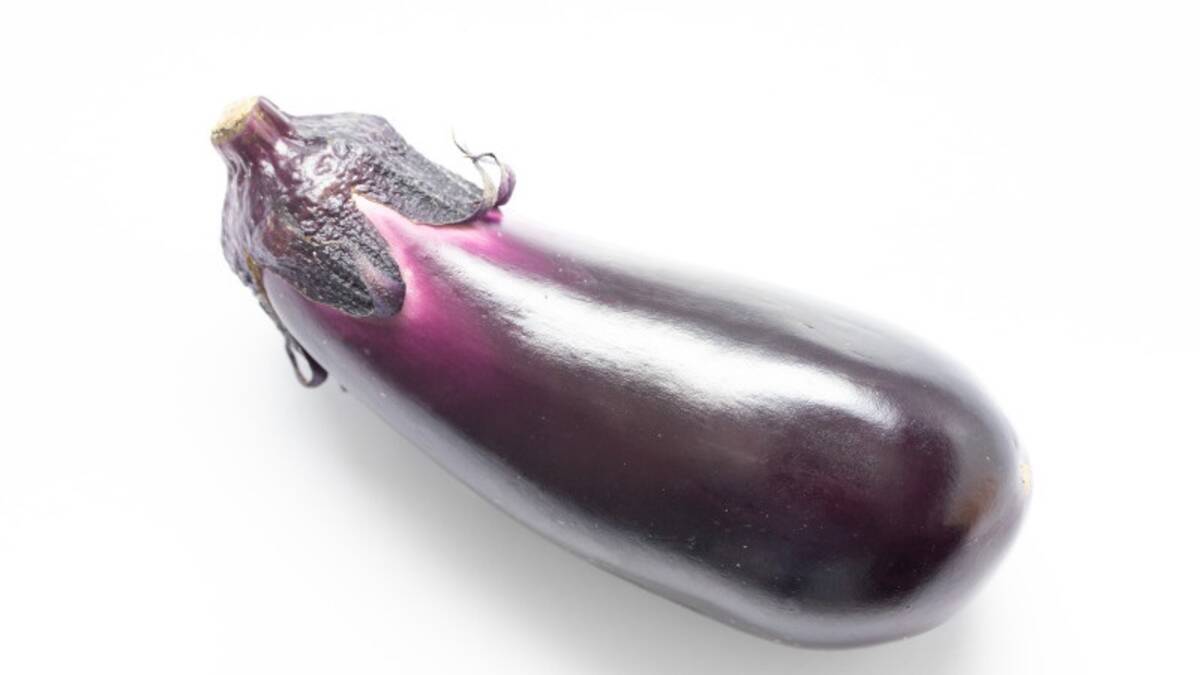 なすの種類と驚くべき効果効能 22年5月29日 エキサイトニュース