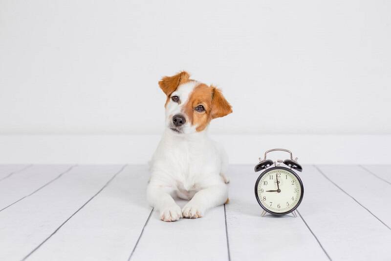 毎日の食事をちょっと見直すだけ！リバウンドしにくい食事術４つの掟