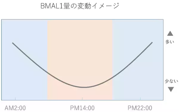 「毎日の食事をちょっと見直すだけ！リバウンドしにくい食事術４つの掟」の画像