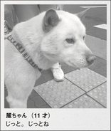 日々新しいポップアートに触れよう Yugo デジタル展覧会がスタート 年4月日 エキサイトニュース