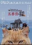 「人と猫と自然の共生を映し出すドキュメンタリー映画『五香宮の猫』本予告解禁　ほしよりこ、小林聡美らのコメントも到着」の画像1