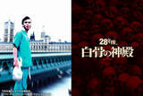 「キリアン・マーフィー、『28年後... 白骨の神殿』に登場していることが判明」の画像1