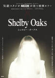 「『ブレア・ウィッチ・プロジェクト』『ノロイ』…ファウンド・フッテージ・ホラーの次なる衝撃作『シェルビー・オークス』に注目」の画像1