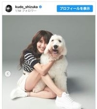 工藤静香、愛犬との最後の日々を振り返る「家族の為に生きていてくれている」