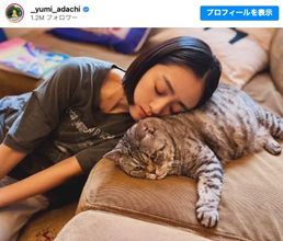安達祐実、愛猫との“寝落ち”姿に癒やしの声 「可愛すぎる」「優しいですね」