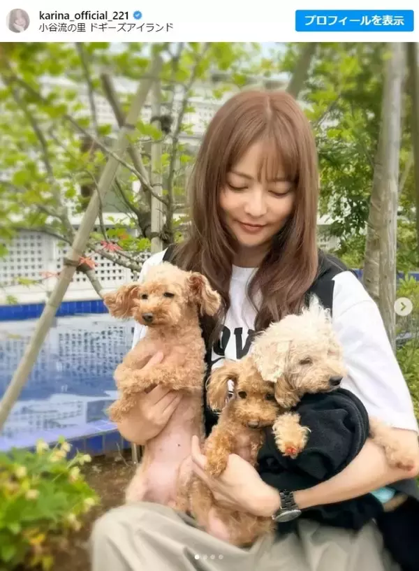 香里奈、愛犬たちとの近影に「相変わらず素敵」「まさに美女」とファン絶賛