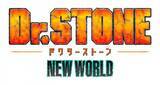「『Dr.STONE』第3期2023年春放送開始　タイトル＆PV解禁」の画像1