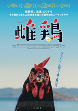 ニワトリ主演映画『雌鶏』が世界の映画祭で絶賛！　新たな場面カット解禁
