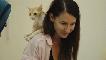 『猫たちと7000マイルの旅』日本版予告編解禁　マイ・ホン監督＆ケイティ・マクヒューの来日も決定