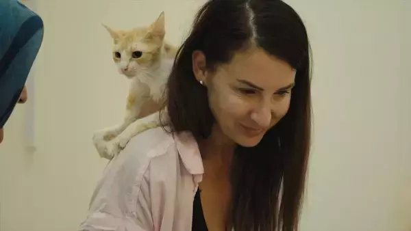 『猫たちと7000マイルの旅』日本版予告編解禁　マイ・ホン監督＆ケイティ・マクヒューの来日も決定