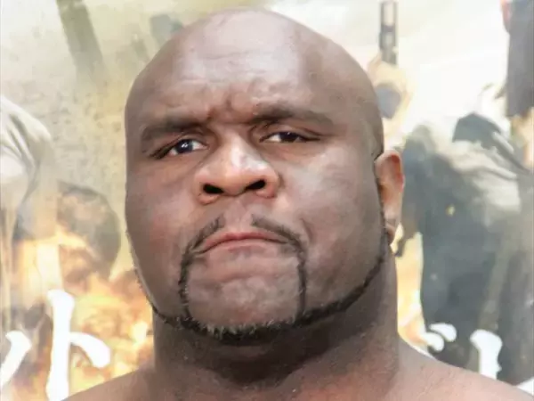 日本が熱狂した90～00年代格闘技ブーム！　K-1＆PRIDE人気選手たちの現在