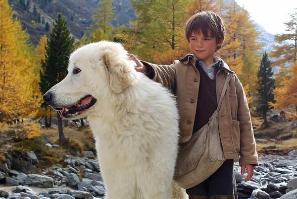 少年と犬との絆を描く『名犬ジョリィ』実写映画化　仏で300万人動員の大ヒット作公開