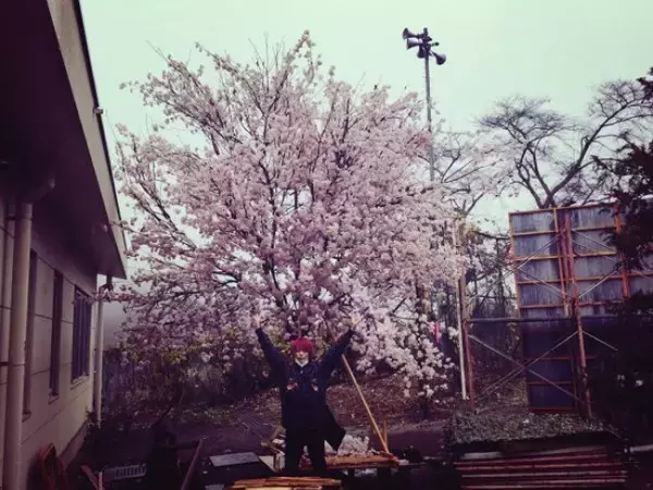 菅田将暉、『暗殺教室』役衣装の1枚公開　桜と赤髪のコントラストに絶賛の声
