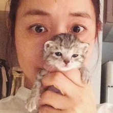 石田ゆり子＆子猫、癒しのツーショットに反響「驚異的な可愛さ」