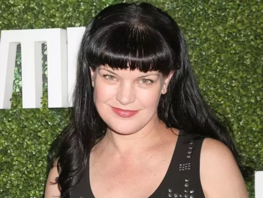 Ncis 衰え知らずの人気でシーズン16更新決定 18年4月21日 エキサイトニュース