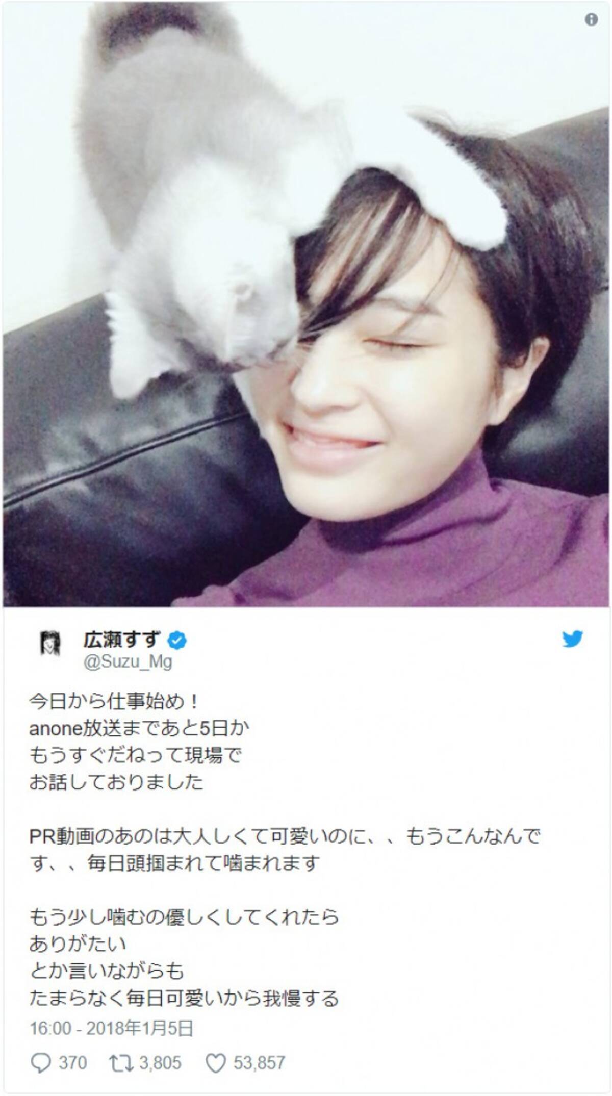 広瀬すず 新ドラマで共演する愛猫とのツーショット披露 たまらなく毎日可愛い 18年1月7日 エキサイトニュース